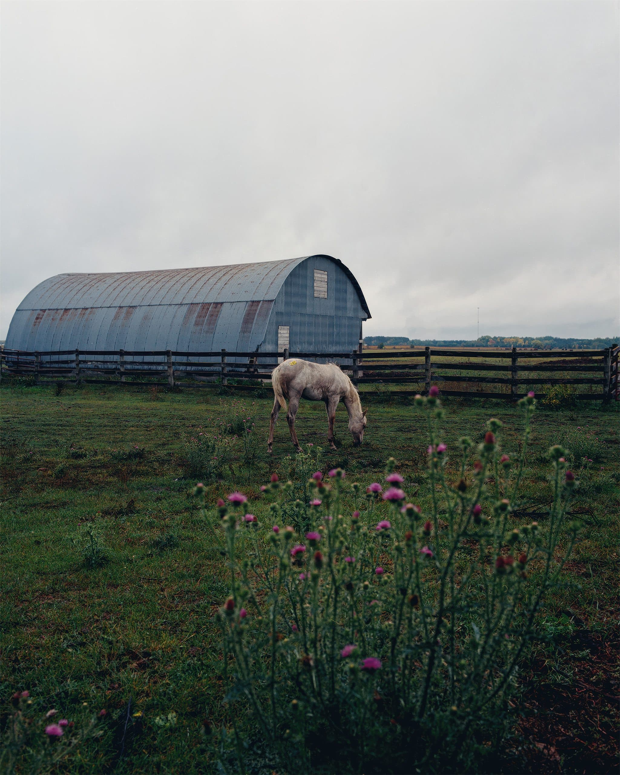 Photograph by Ethan Larsen