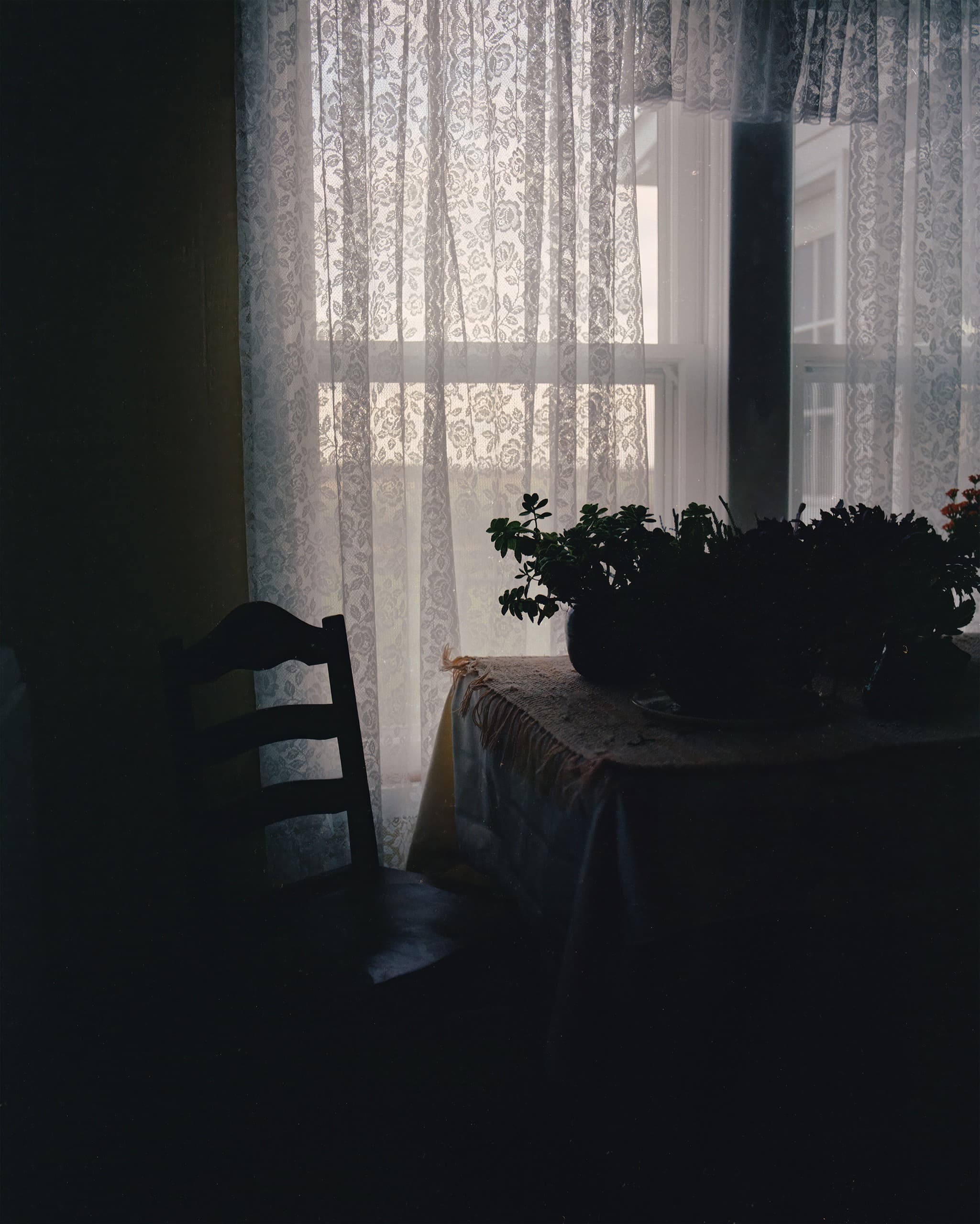 Photograph by Ethan Larsen