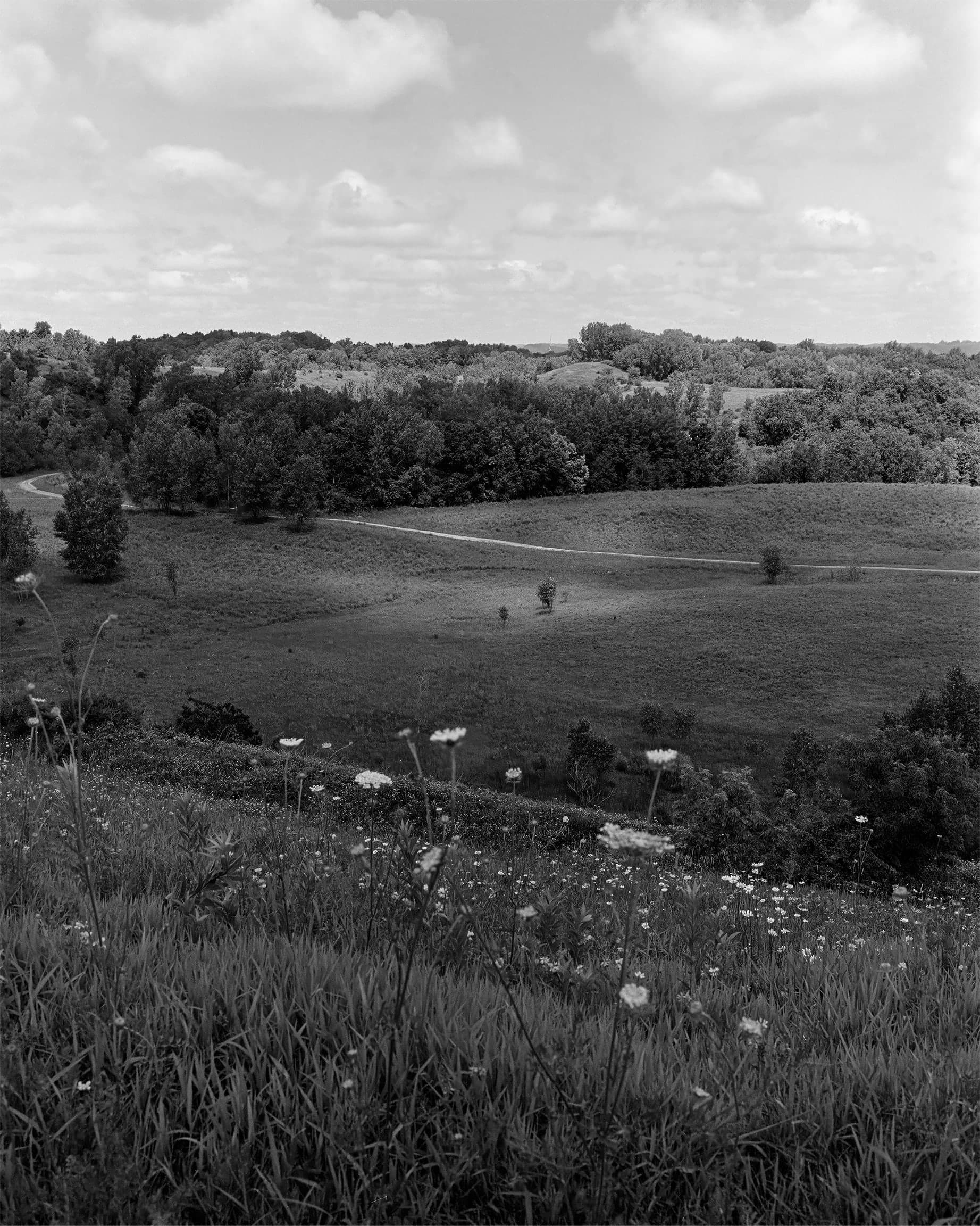 Photograph by Ethan Larsen