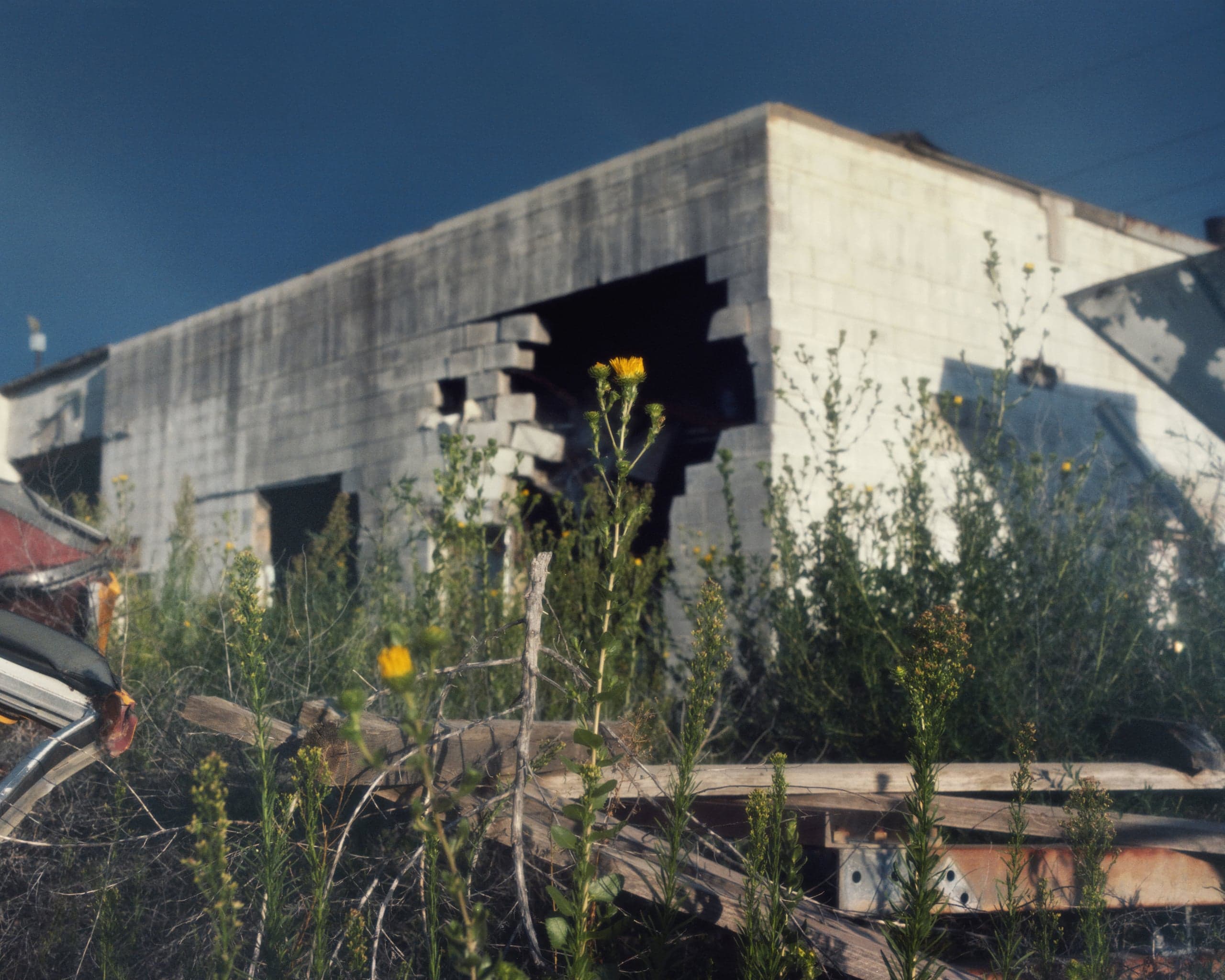 Photograph by Ethan Larsen