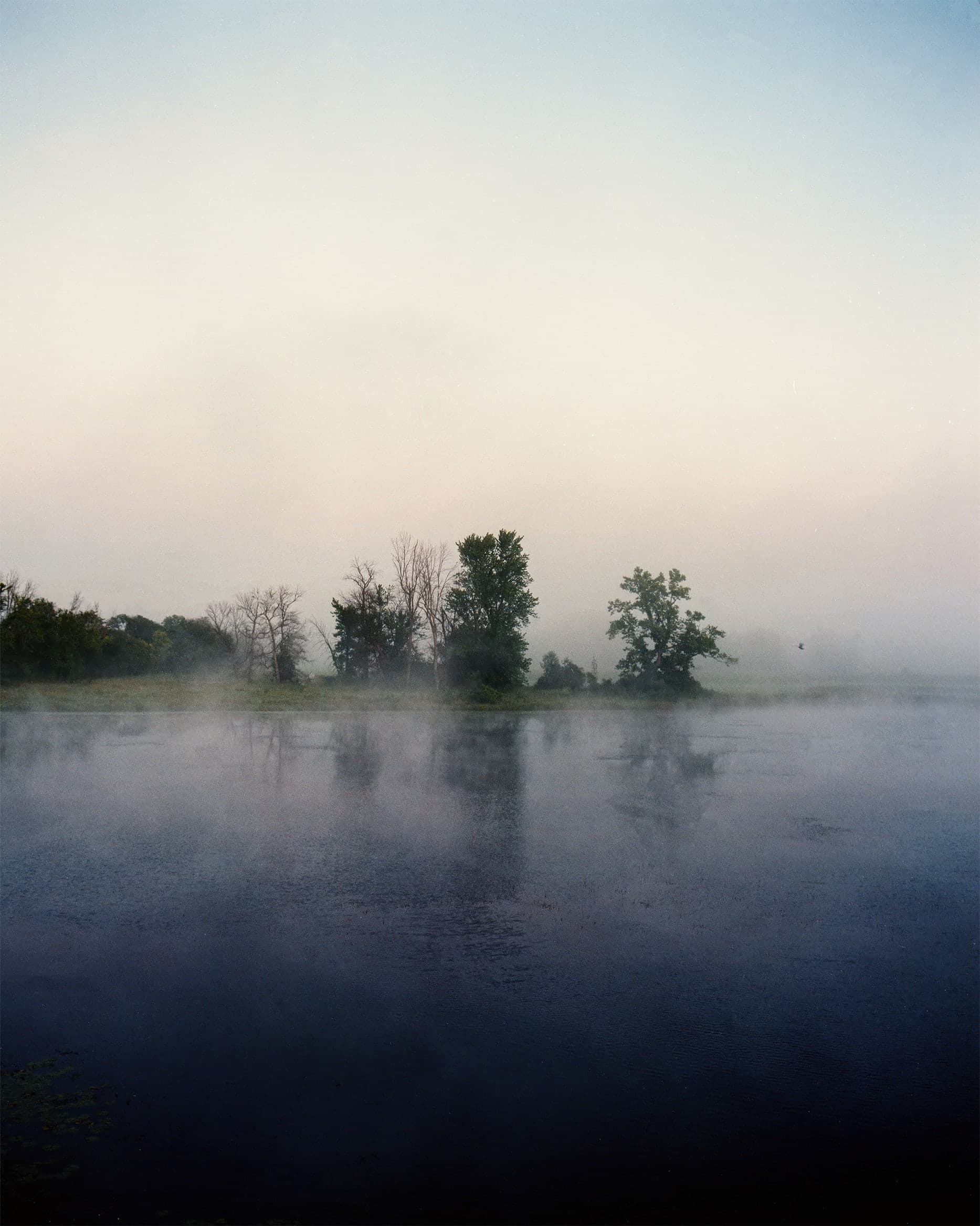 Photograph by Ethan Larsen