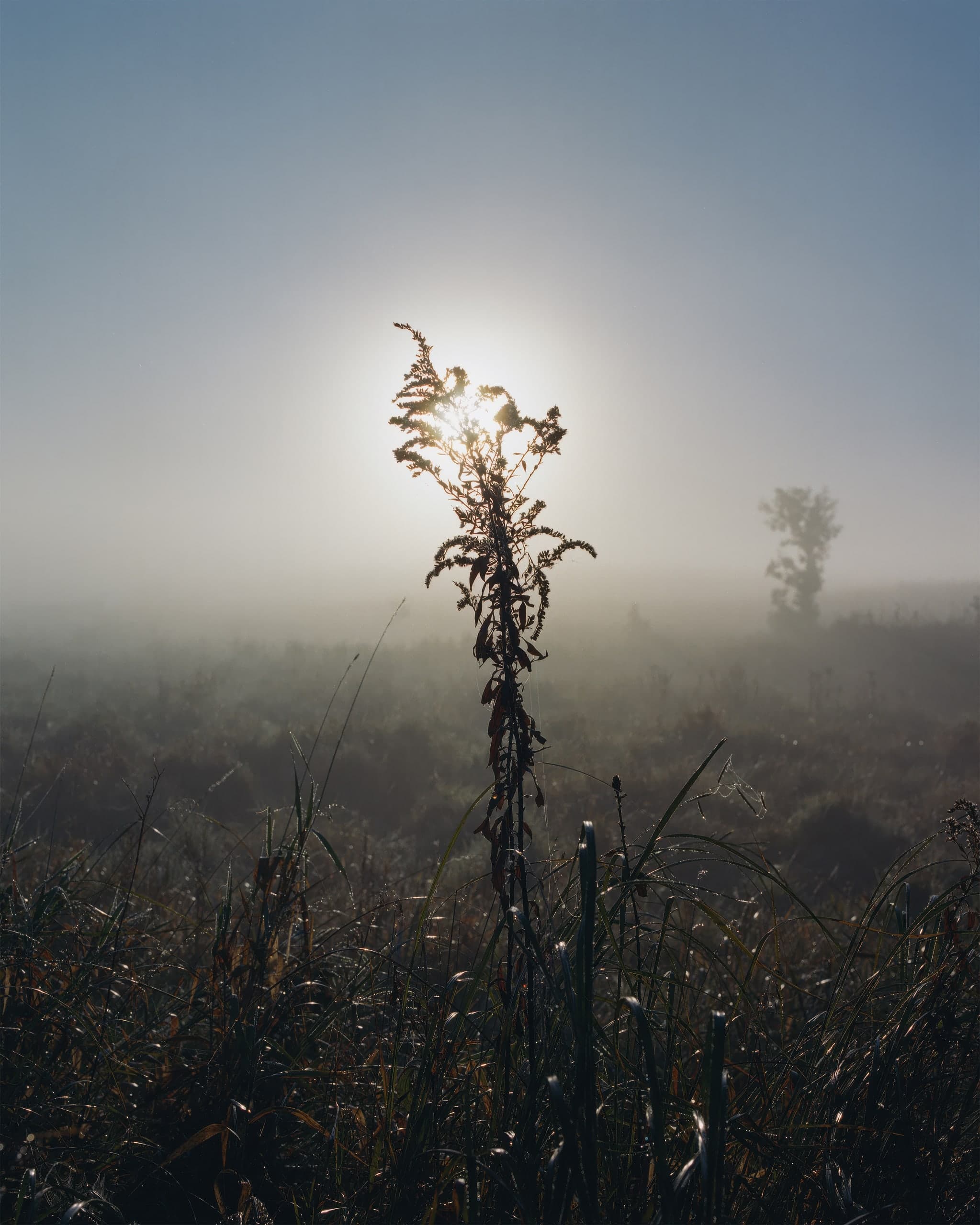 Photograph by Ethan Larsen
